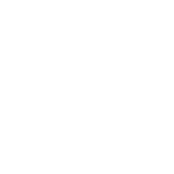 transparent.webp